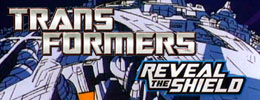 Transformers Reveal the Shield